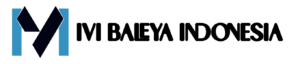 IBI Logo Long